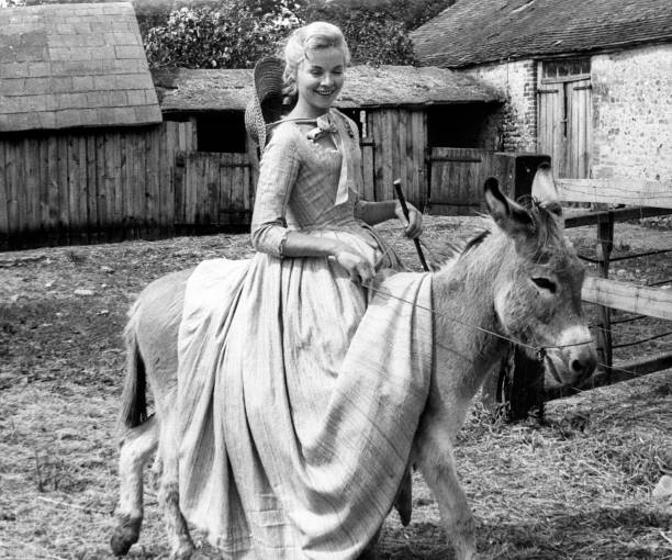 Susannah York