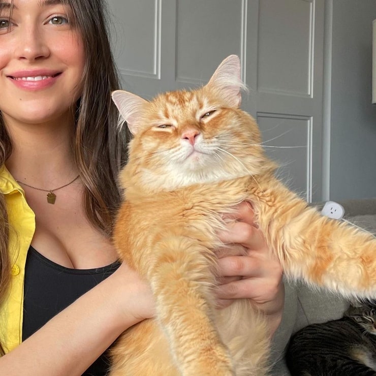 Elsie Hewitt Elsie Hewitt