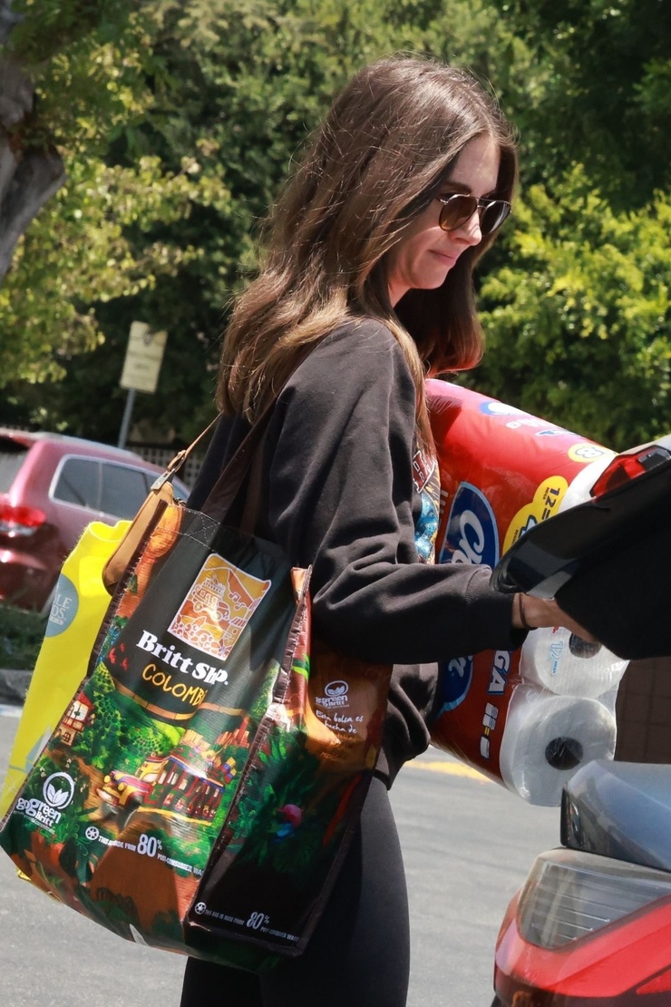 Alison Brie