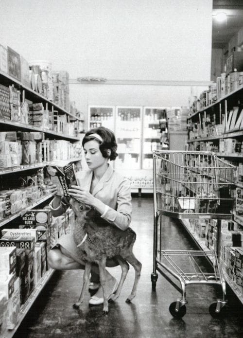 Audrey Hepburn Audrey Hepburn