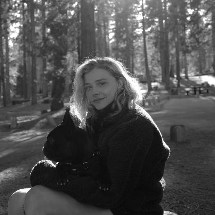 Chloe Moretz