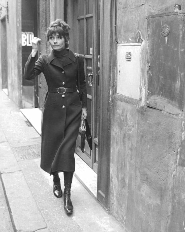 Audrey Hepburn image