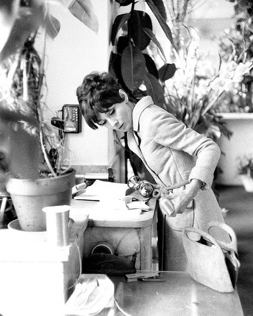 Audrey Hepburn