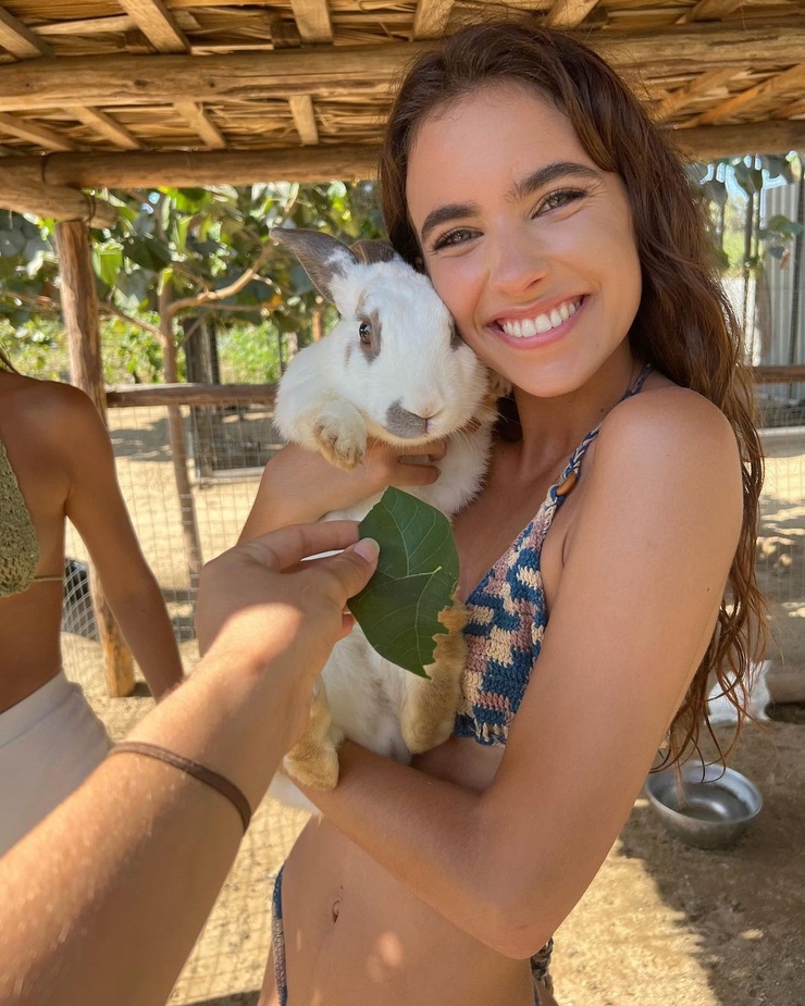 Renee Herbert Renee Herbert
