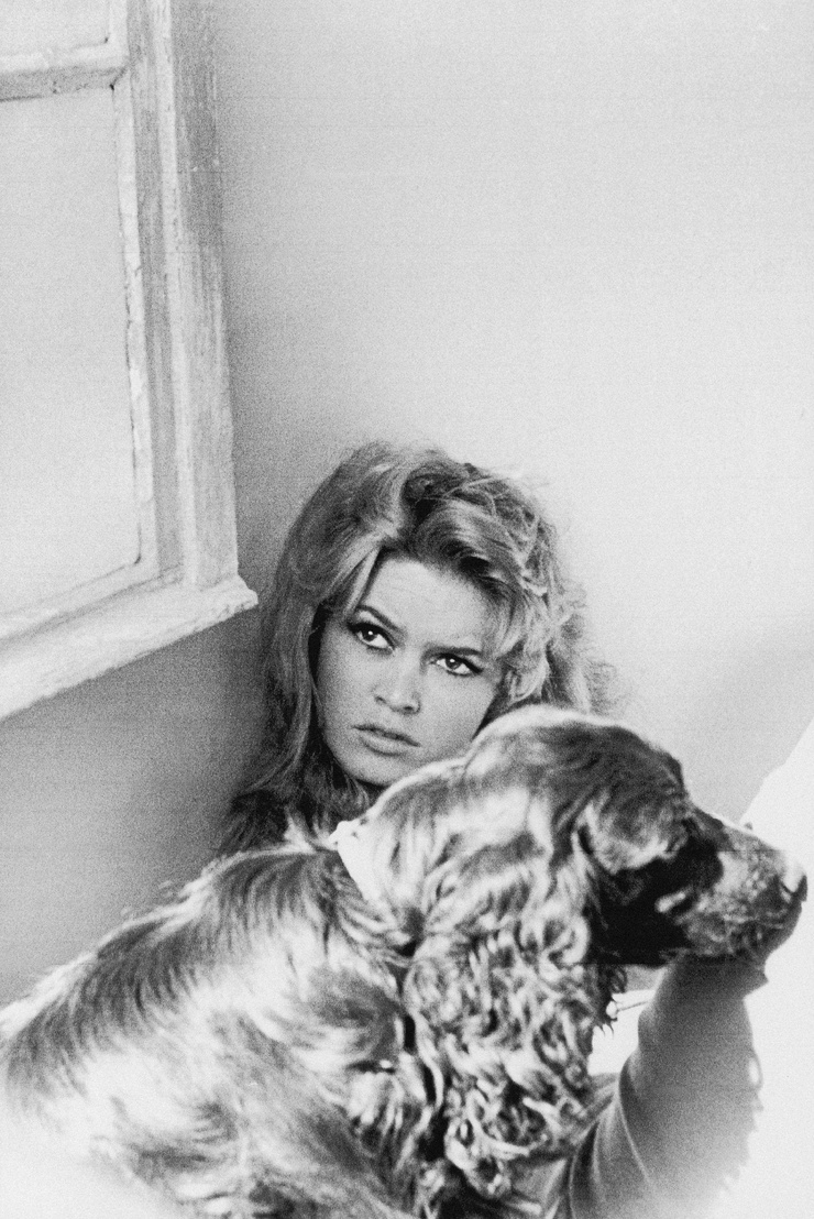 Brigitte Bardot