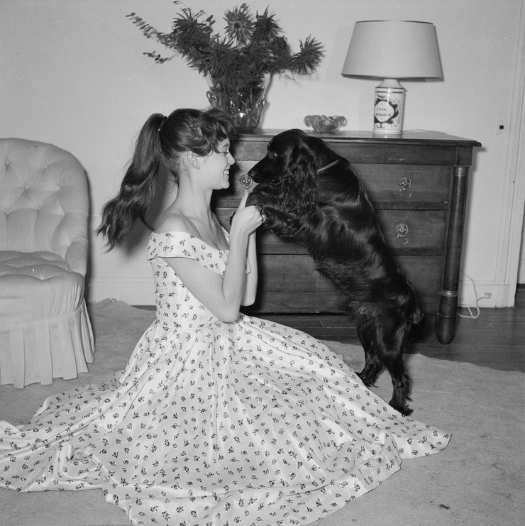Brigitte Bardot