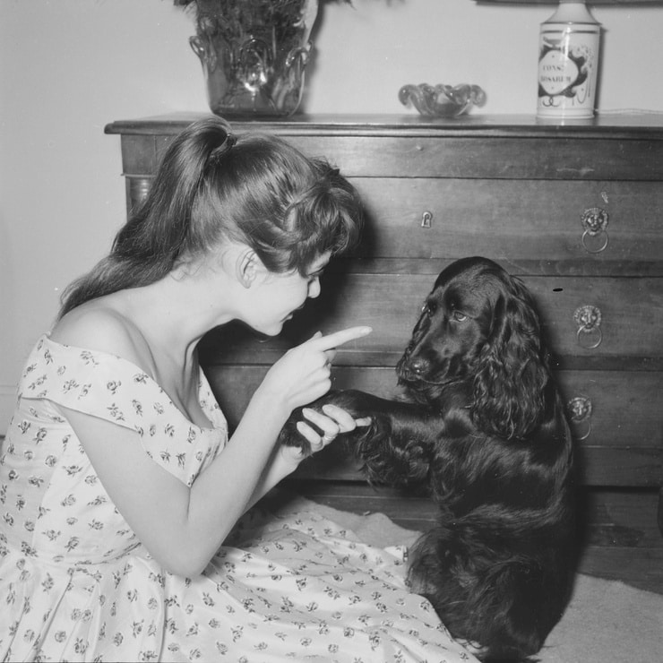 Brigitte Bardot Brigitte Bardot
