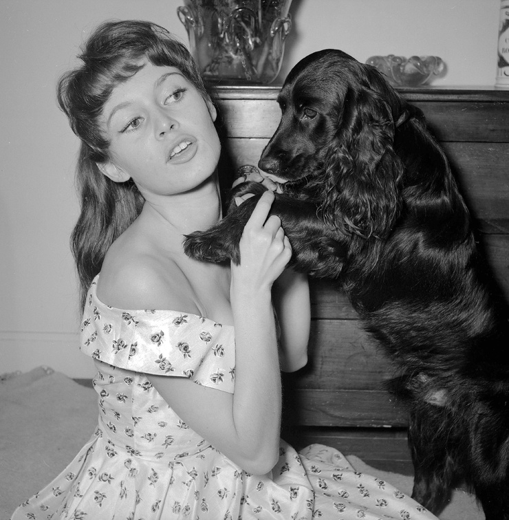 Brigitte Bardot Brigitte Bardot