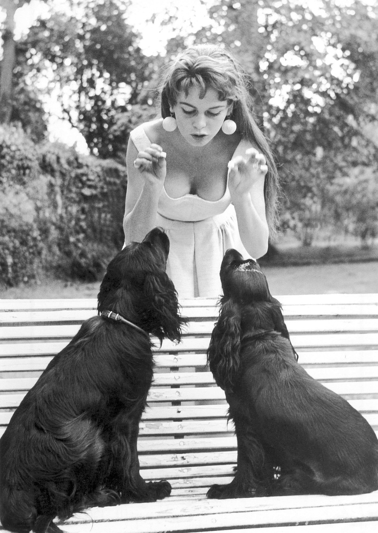 Brigitte Bardot Brigitte Bardot