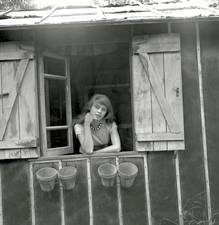 Brigitte Bardot Brigitte Bardot