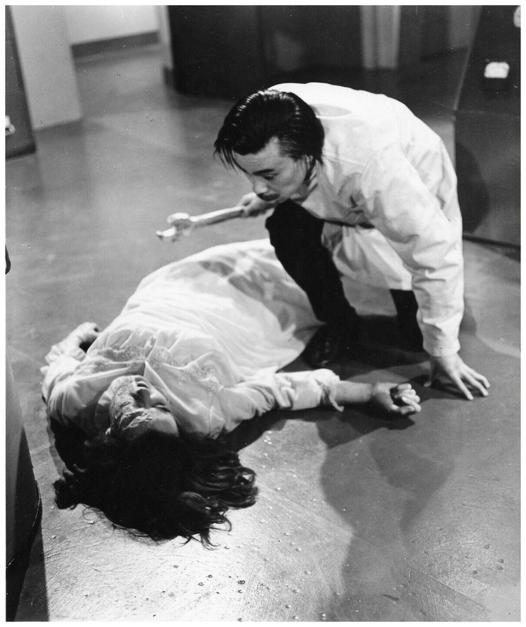 The Curse of the Fly (1965)