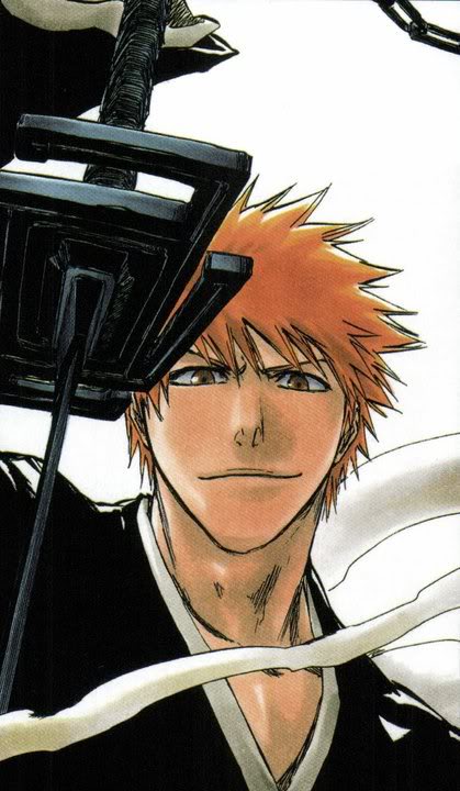 Picture of Bleach