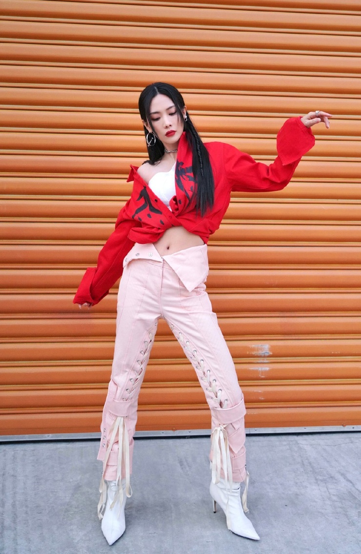 Wang Fei Fei