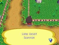 Animal Crossing: Wild World