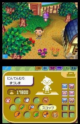 Animal Crossing: Wild World