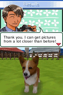 Animal Paradise