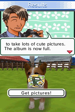 Animal Paradise