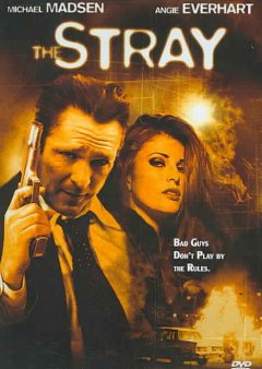 The Stray