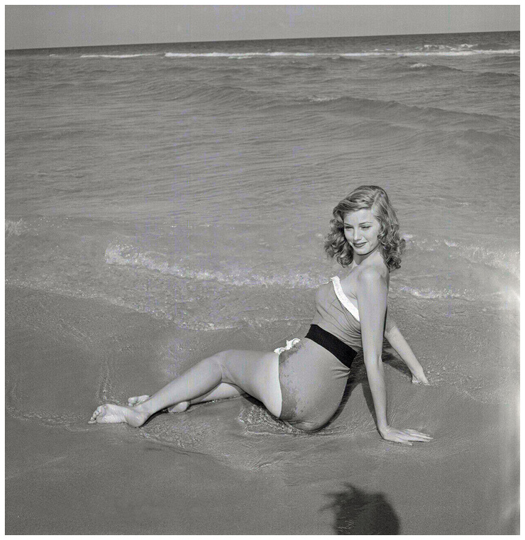 Alta Whipple