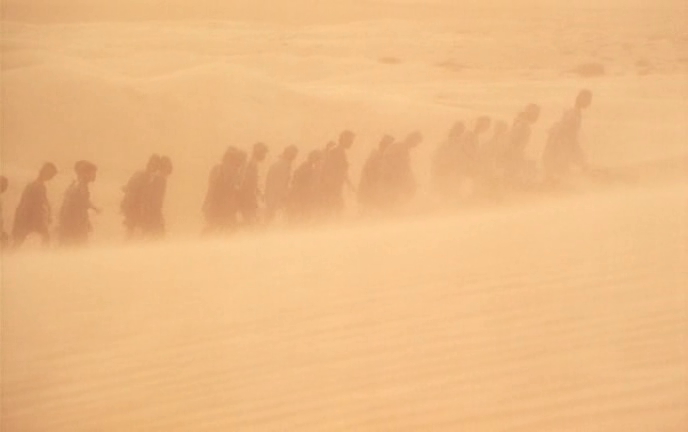 Wanderers of the Desert