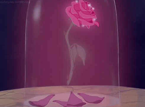 Beauty and the Beast Beauty and the Beast