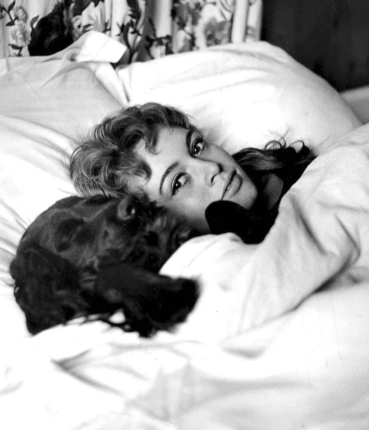 Brigitte Bardot