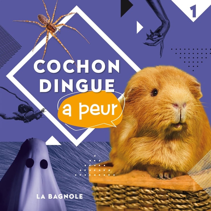 Cochon Dingue a peur