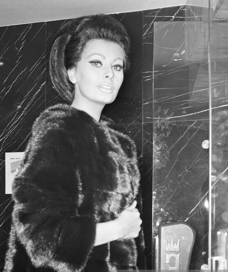 Sophia Loren