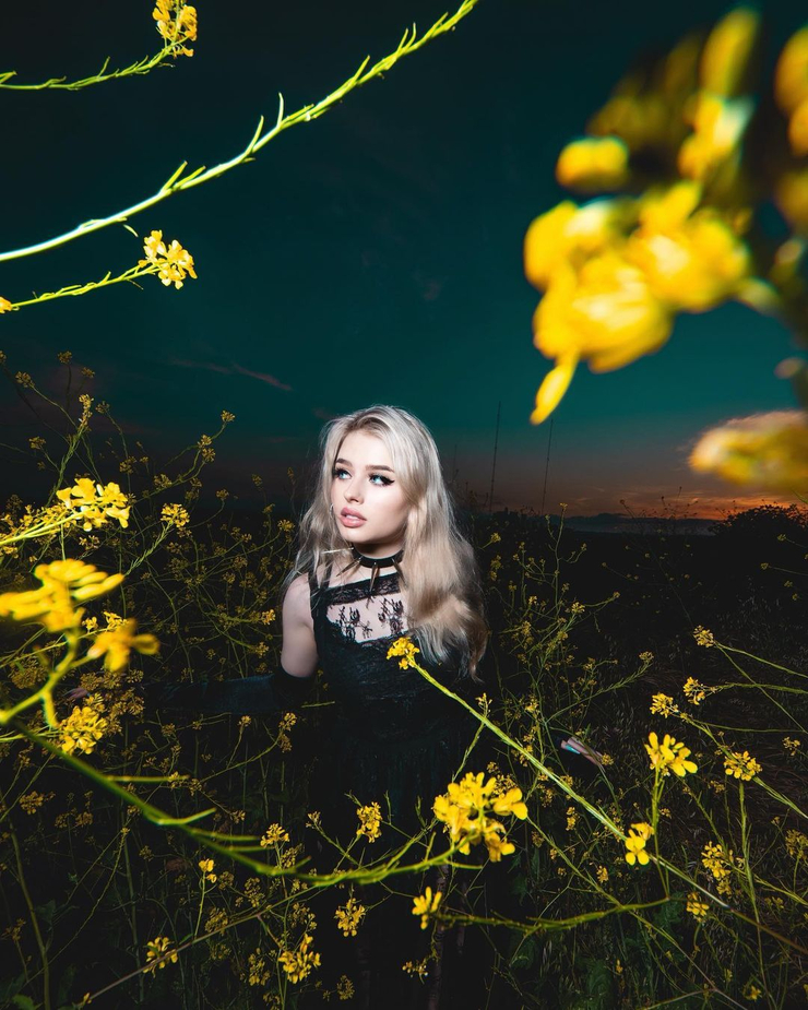 Ava Westcott