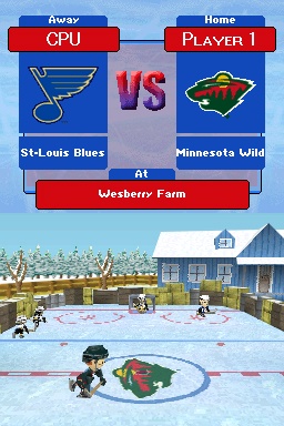 Backyard Hockey