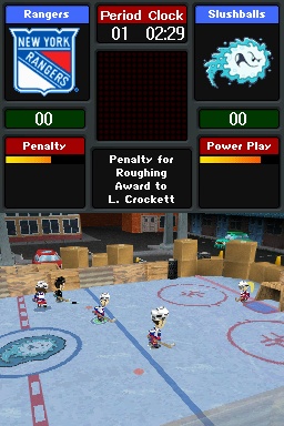 Backyard Hockey