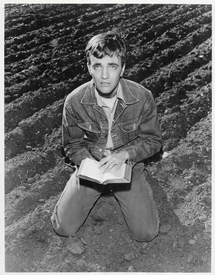 Robert Walker Jr.
