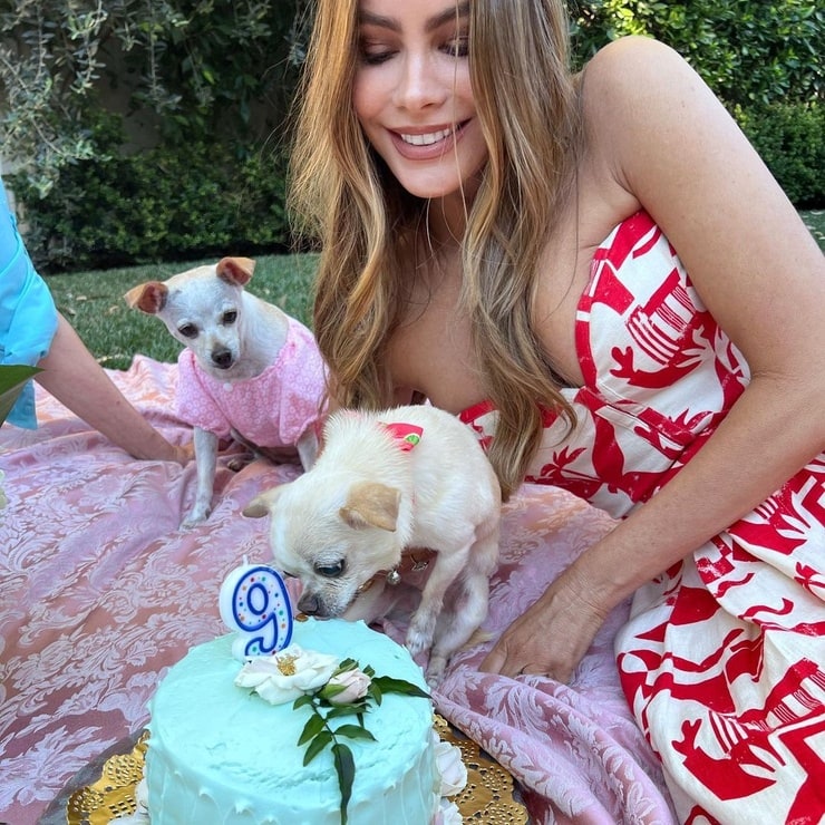 Sofía Vergara