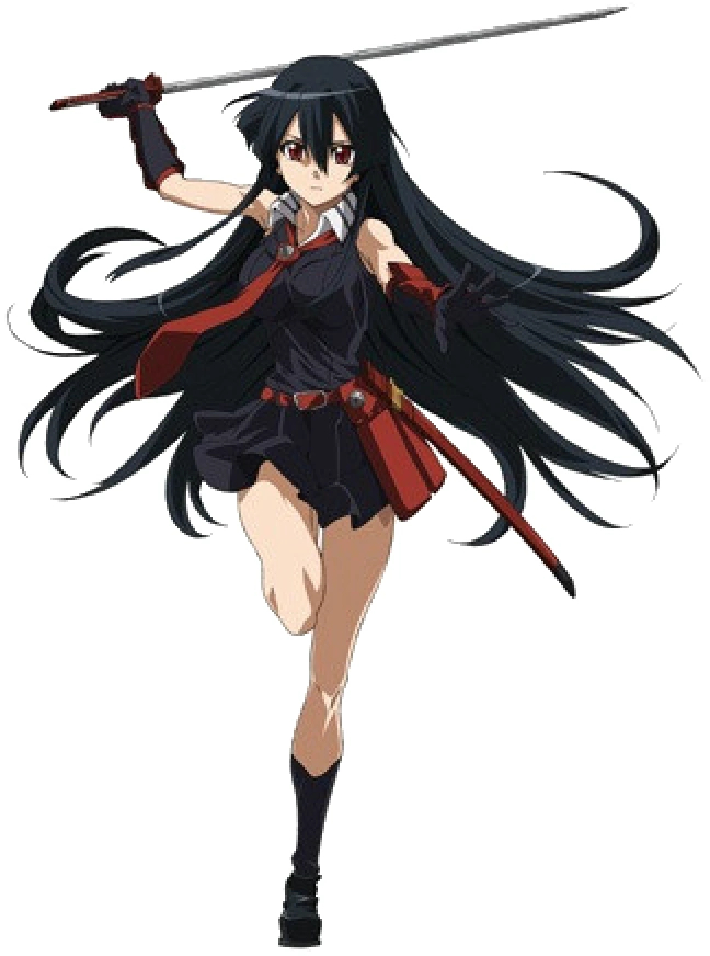 Picture of Akame