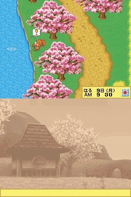 Harvest Moon DS Cute