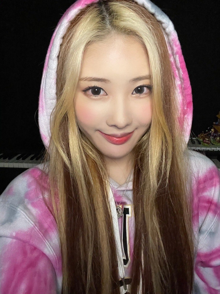 Chaeyoung Lee