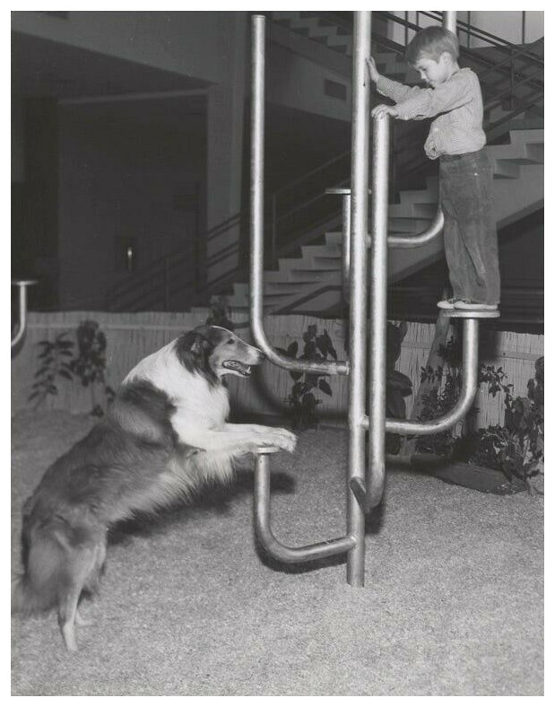 Jon Provost