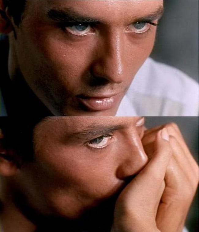 Purple Noon