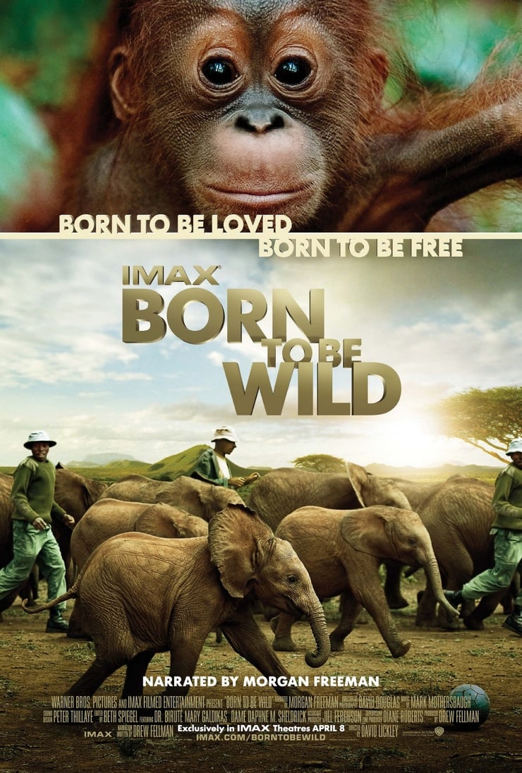 Born to Be Wild