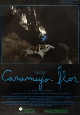 Caramujo-flor