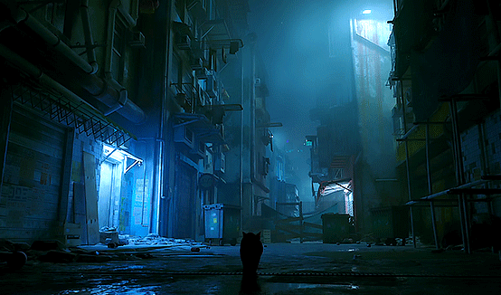 Stray