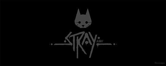 Stray
