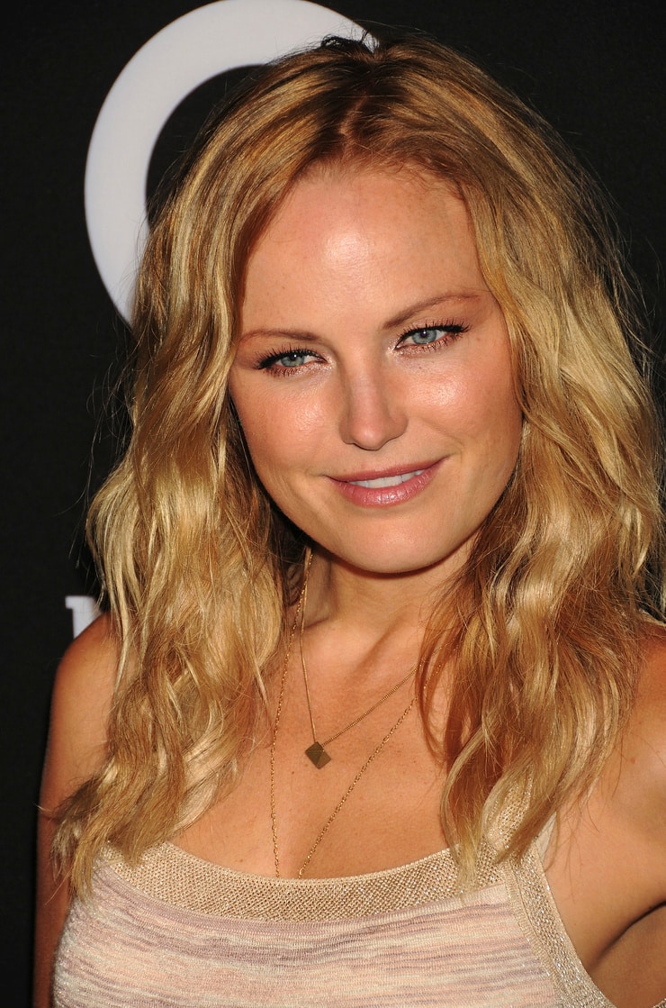 Picture Of Malin Akerman