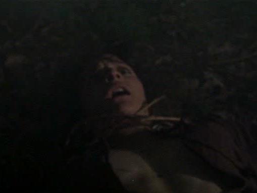 The Evil Dead