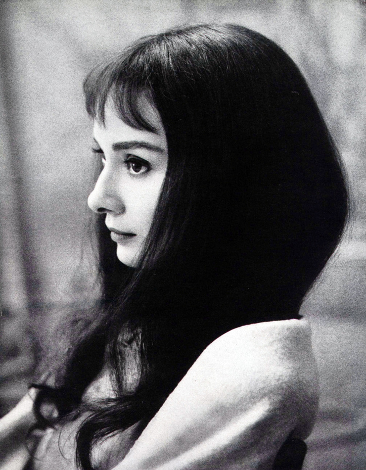 Audrey Hepburn Audrey Hepburn