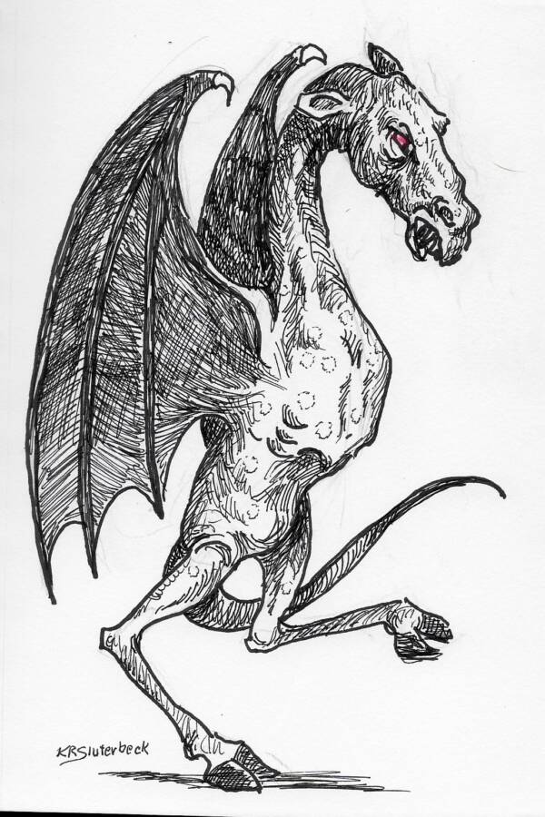 The Jersey Devil