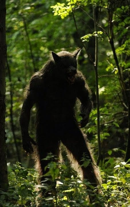 Michigan Dogman