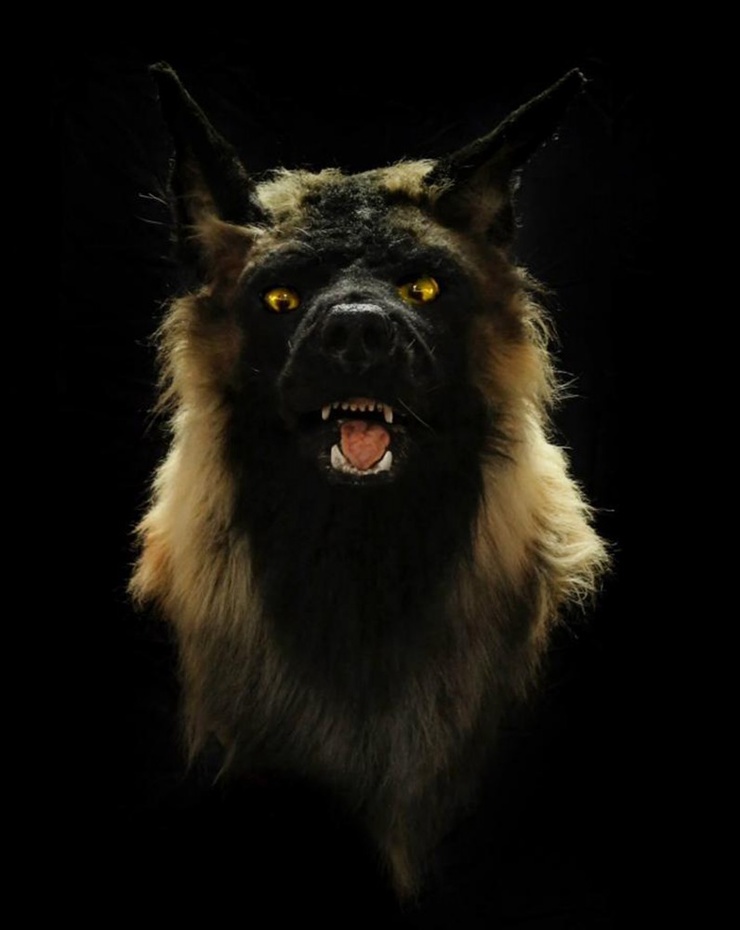 Michigan Dogman image