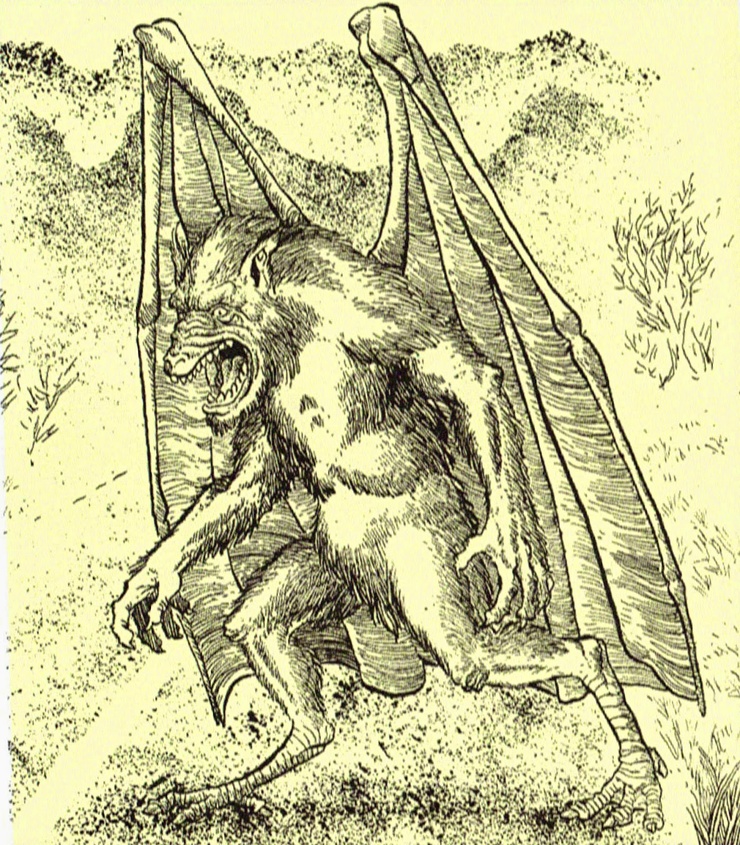 Batsquatch