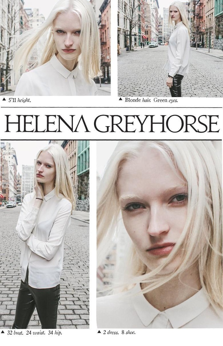 Helena Greyhorse